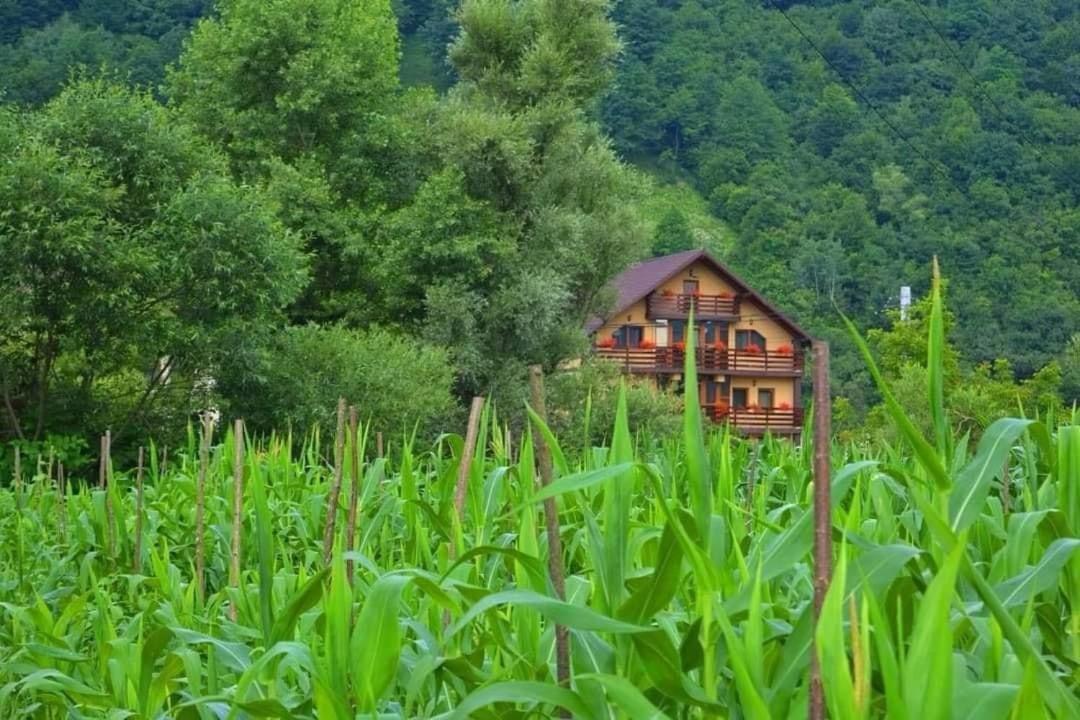 Casa Vadeanu Hotel Sighetu Marmaţiei Buitenkant foto